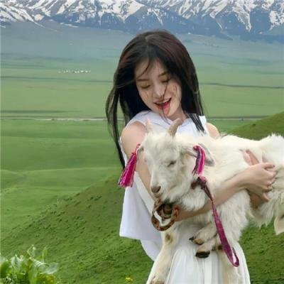玫瑰小天使