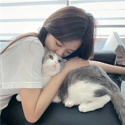 美味盛宴